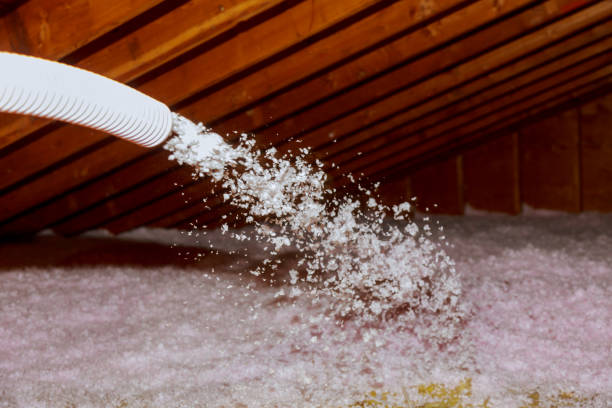 Best Basement Insulation  in Weimar, TX