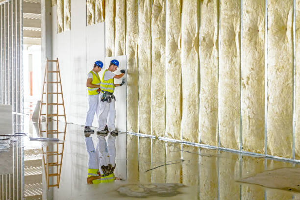 Best Blown-In Insulation  in Weimar, TX