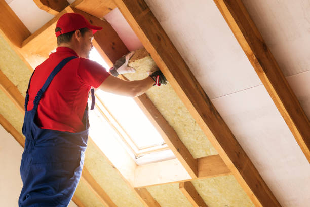 Best Attic Insulation Installation  in Weimar, TX